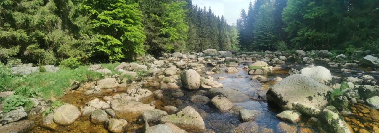 Apartment Na Ceste Desna (Liberec)