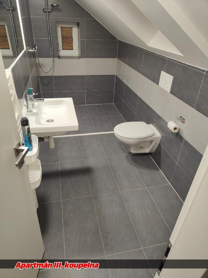 Na Ceste Apartment Desna (Liberec)